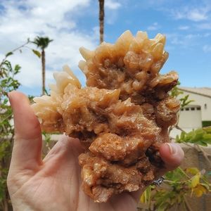 Ombre Orange Flower Calcite Specimen w/ Dogtooth Crystals